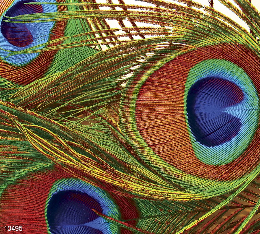 Панно 10495 серия Панно Fa Ro