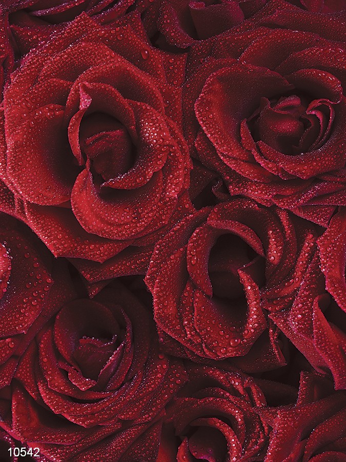 Панно 10542 серия Панно Fa Ro